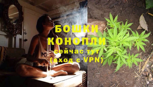соль ск Балахна