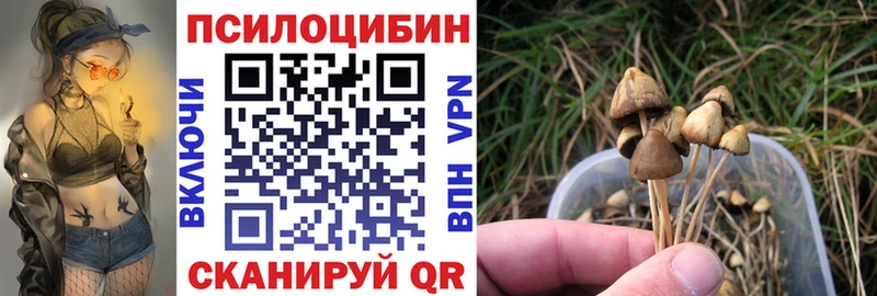 Псилоцибиновые грибы мухоморы Заволжск